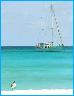 anchored in paradise you see the sailing yacht monsoon on a charter in islas los rocques