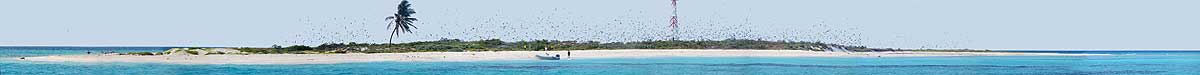 islas las aves venezuela