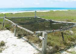 islas las aves venezuela