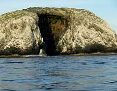 islas los monjes venezuela