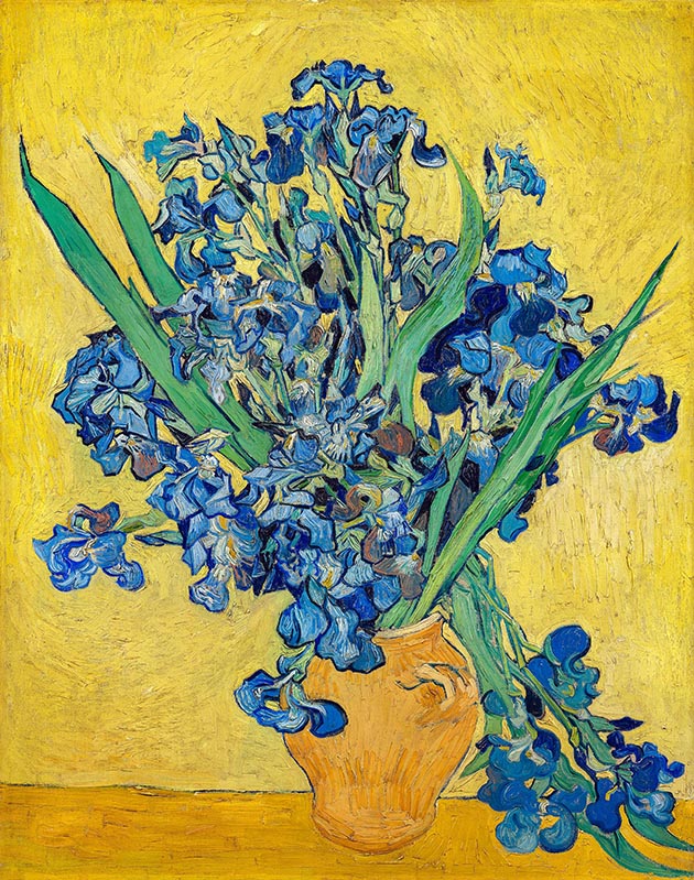 Vincent van gogh suicide
                        paintings