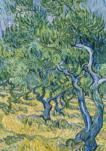 van gogh